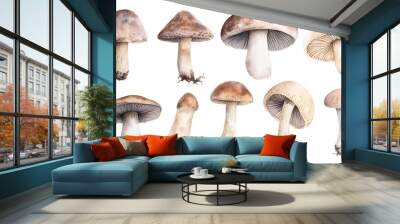 mushroom Wall mural