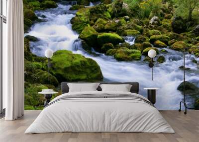 forest stream Wall mural