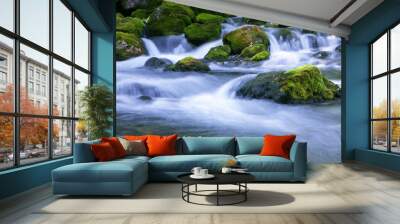 forest stream Wall mural