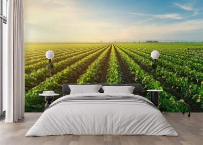 A scenic view of a lush green farm field under a bright sky, showcasing rows of healthy crops stretching towards the horizon. Wall mural