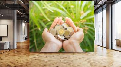 coins in the hands nature background.  save money concept. Wall mural