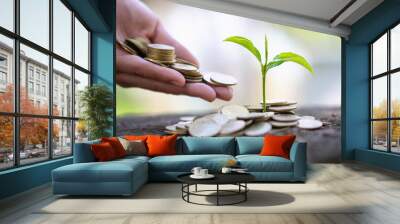 Hand giving a coin to a tree growing from pile of coins.Plant Growing In Savings Coins Money. Financial accounting, Investment Concept. Wall mural