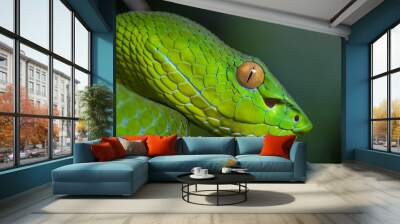 Trimeresurus vogeli female Wall mural