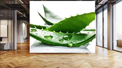 Aloe vera fresh leaves on white background Generative AI Wall mural