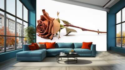 Dry Rose Flower Isolated on white background Wall mural