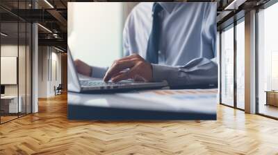 Business man working on laptop computer Wall mural