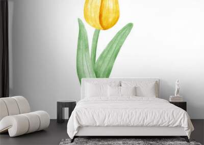 yellow tulip isolated on white Wall mural