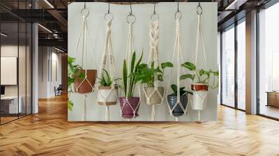 Six handmade cotton macrame plant hangers are hanging from a wood branch. The macrame have pots and plants inside them. Wall mural