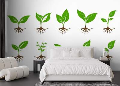 Plant with root set illustration vector design Wall mural