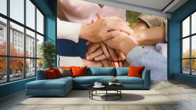 Close-up of diverse multiracial men and women group sit in circle hold hands together hope for help people in park. Support and understand at psychological therapy session, PTSD Mental health concept. Wall mural