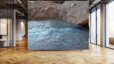 river water flowing into a lake Wall mural