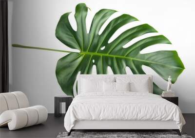 Description: A detailed, lush monstera leaf with deep green color and natural splits against isolated a white background. cut out Wall mural