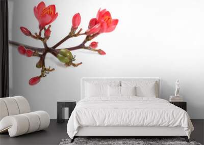 Flower Wall mural