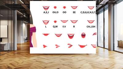 Mouth animation set. Mouths pronounce letters. Lip movement. Various open mouth options with lips, tongue and teeth. Isolated vector illustration Wall mural