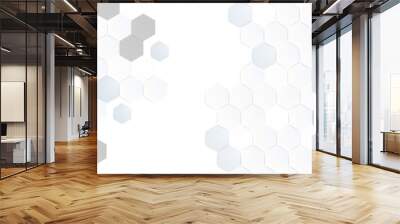 Vector hexagons pattern. Geometric abstract background with simple hexagonal elements. Medical, technology or science design. Wall mural