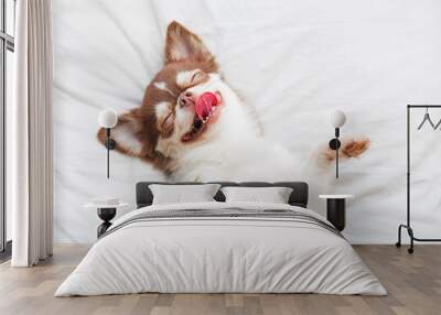 Cute dog sleeping Wall mural