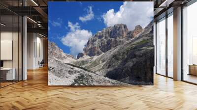 scenico e imponente panorama delle montagne Dolomiti in estate Wall mural