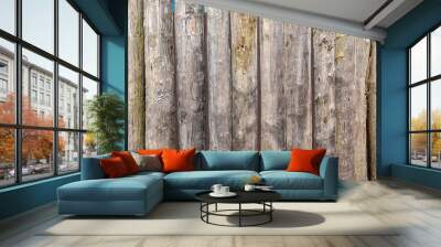 wood texture. background old panels Wall mural