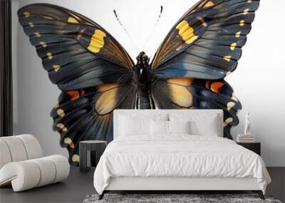 Colorful butterfly on transparent background, cutout, png Wall mural