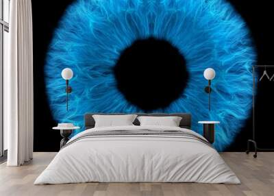 blue eye in the dark, cgi render image of iris  Wall mural