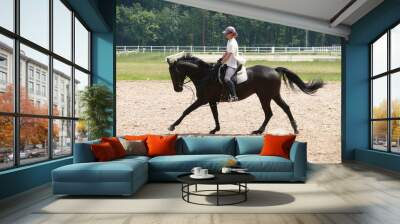 cheval noir 2 Wall mural