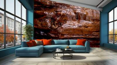 Brown wood texture. Abstract background, empty template Wall mural