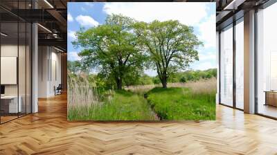 Two embrancing trees over a stream Wall mural