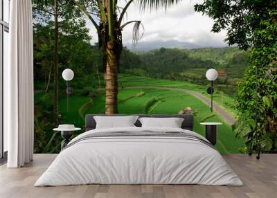 indonesia, bali: landscape Wall mural