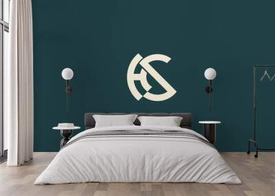 Abstract SH, HS Letters Logo Monogram icon. Wall mural