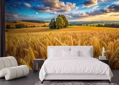 Golden wheat field under a dramatic sky. Wall mural