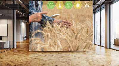 Agronomist and farmer checking data in a wheat field with a tablet and examnination crop. Wall mural