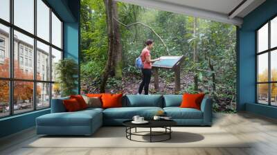 Female tourist reading a information board sign with short info about  type of tree on trail. Wall mural