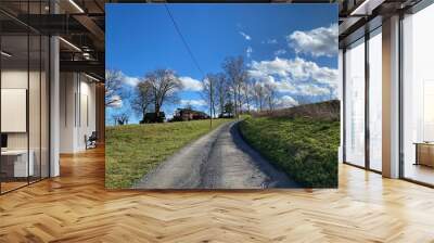 road in the park Wall mural