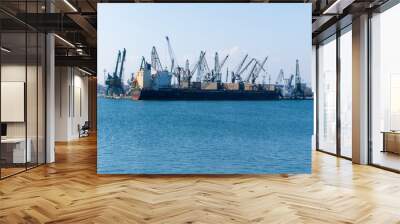 Cargo ship and cranes at a busy port, viewed from a cobblestone embankment with seagulls resting Wall mural