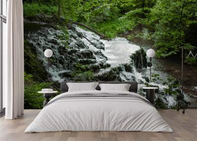 Surrounded by bright green spring foliage and ferns, waterfall in Bulgaria. cascades over the rocks. Side view. Wall mural