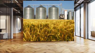 Wheat field and countryside scenery  Wall mural