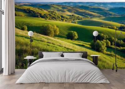 Green countryside in Ukraine Europe summertime nature photo of lush green pastures and clear blue sky Wall mural