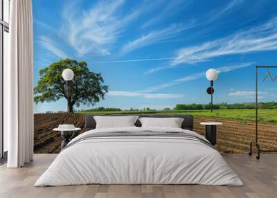 ....View of freshly plowed agricultural field with large oak tree at its edge and blue sky with wispy clouds in background in spring  Wall mural