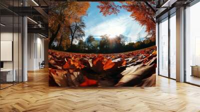 Fall colors in park w/ fisheye effect. Wall mural