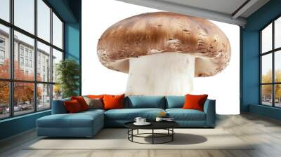 Isolated champignon on white Wall mural