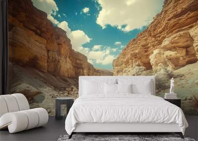 Negev's Canyon, Retro Wall mural