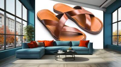 Sandals isolated on white Wall mural