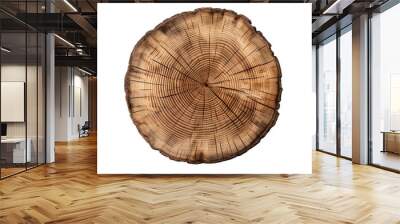 A cut out of a tree stump top view isolated on transparent background Wall mural