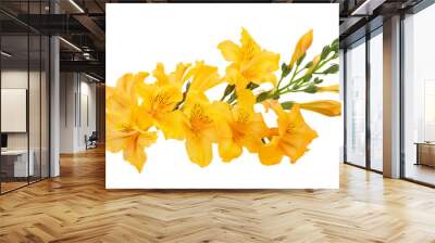 bunch of yellow flowers isolated on transparent background Wall mural