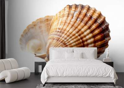 Empty seashell isolated on transparent background Wall mural