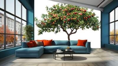 Fruit tree isolated on transparent background Wall mural