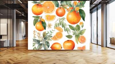 Hand drawn natural fresh watercolor oranges clipart Wall mural