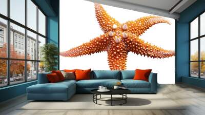 starfish isolated on transparent background Wall mural