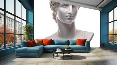 Beautiful marble bust of a woman, showcasing intricate details and classical artistry. Perfect for home decor or art collections. Wall mural