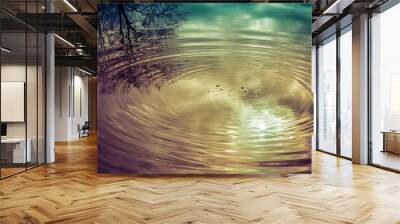 Ripples in the water of a pond where a tree is reflected.  Wall mural